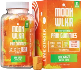 Style Beyond the Horizon